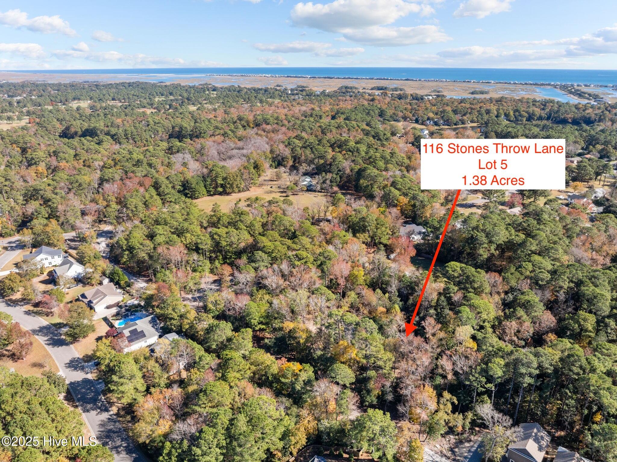 100543553 | Photo 10