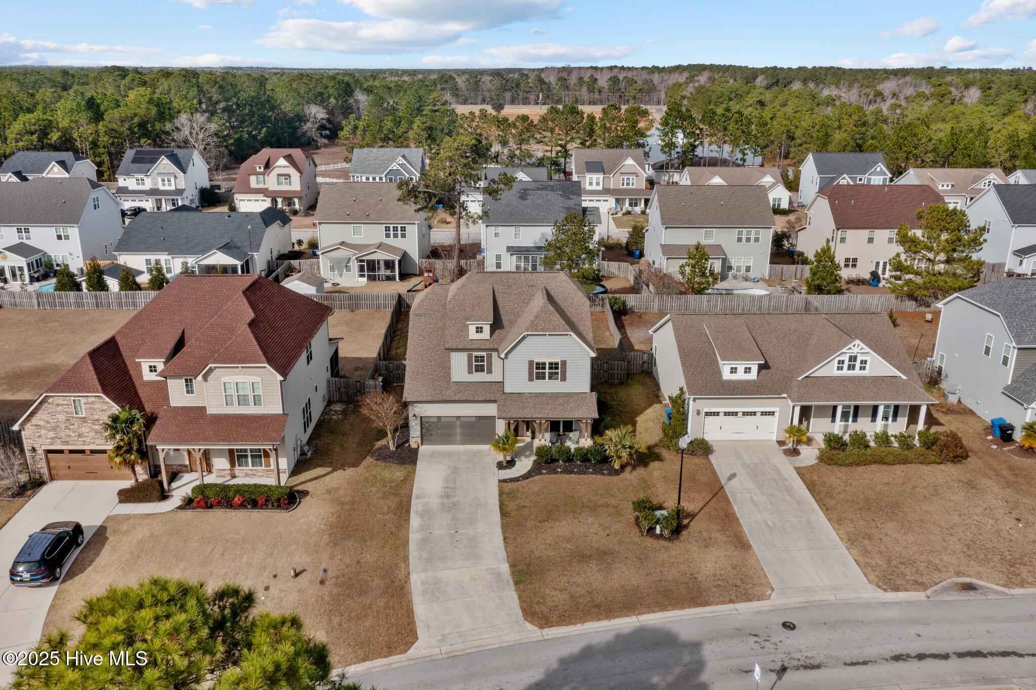 100530169 | Photo 19