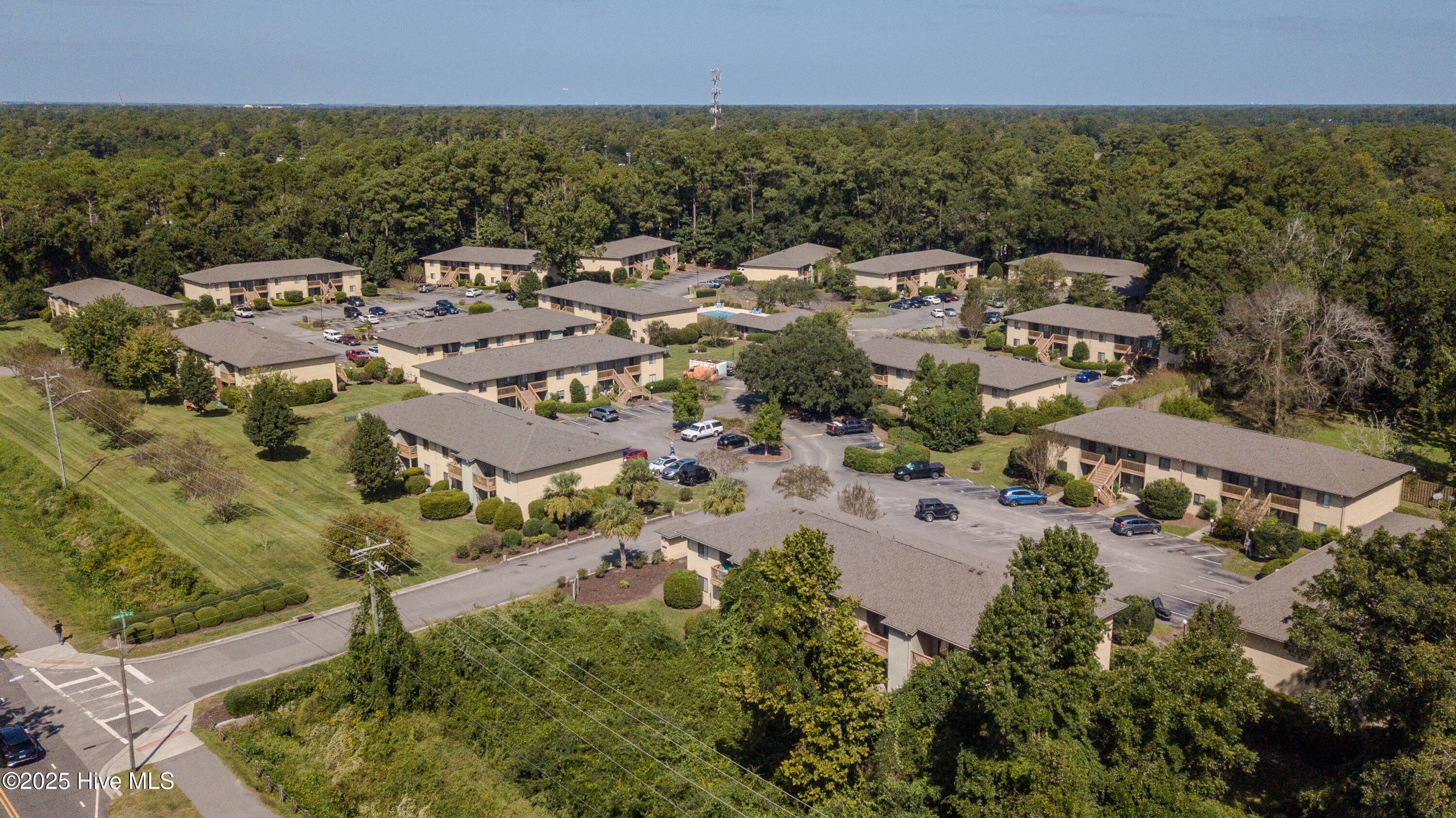 100534188 | Photo 41