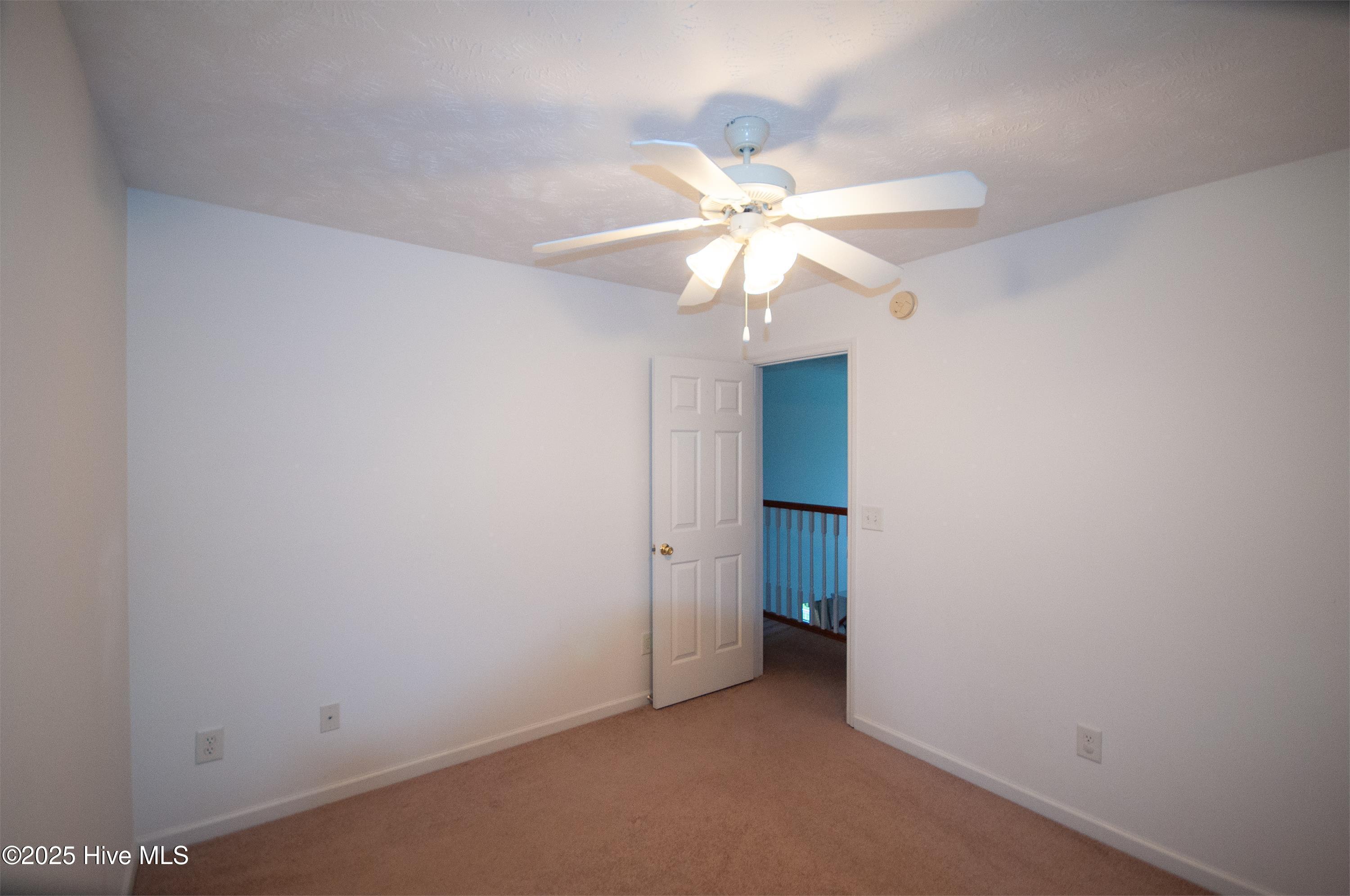 100532308 | Photo 16