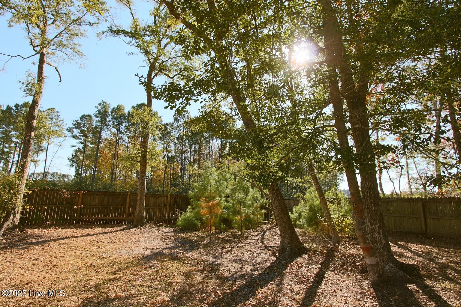 9117 Landing Drive SW, Calabash, NC 28467 – photo 2: Sunlit Backyard with Mature Trees
