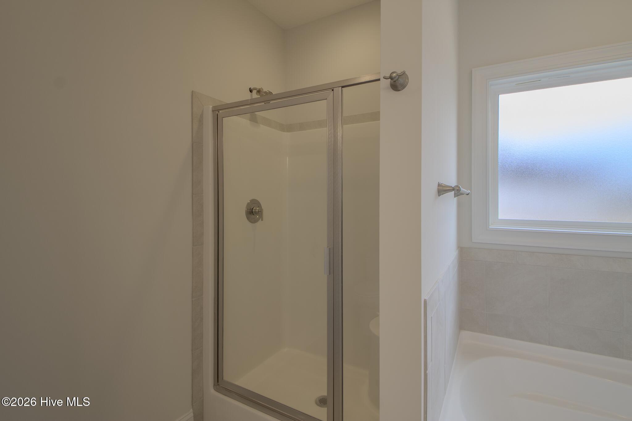 100497435 | Photo 19