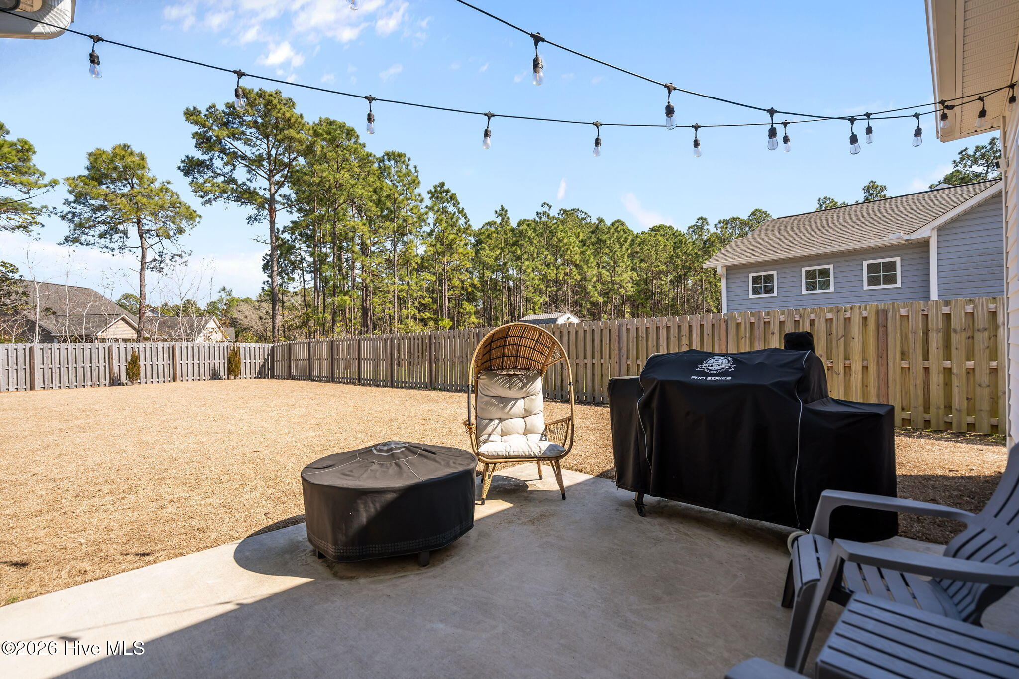 100567141 | Photo 39