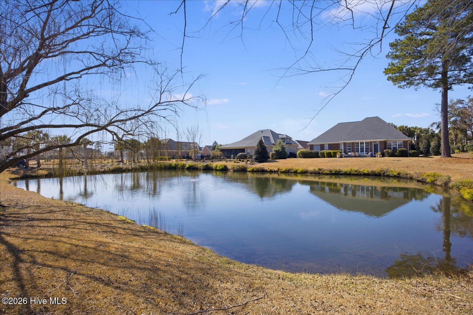 100557521 | Photo 52