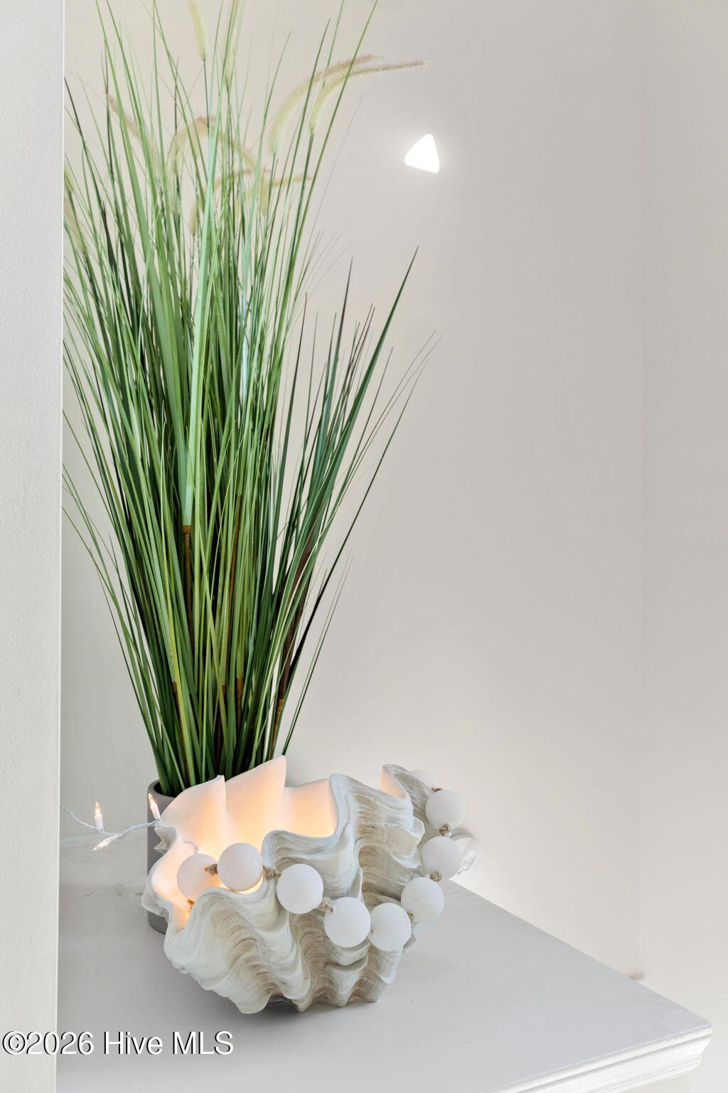 100558886 | Photo 32