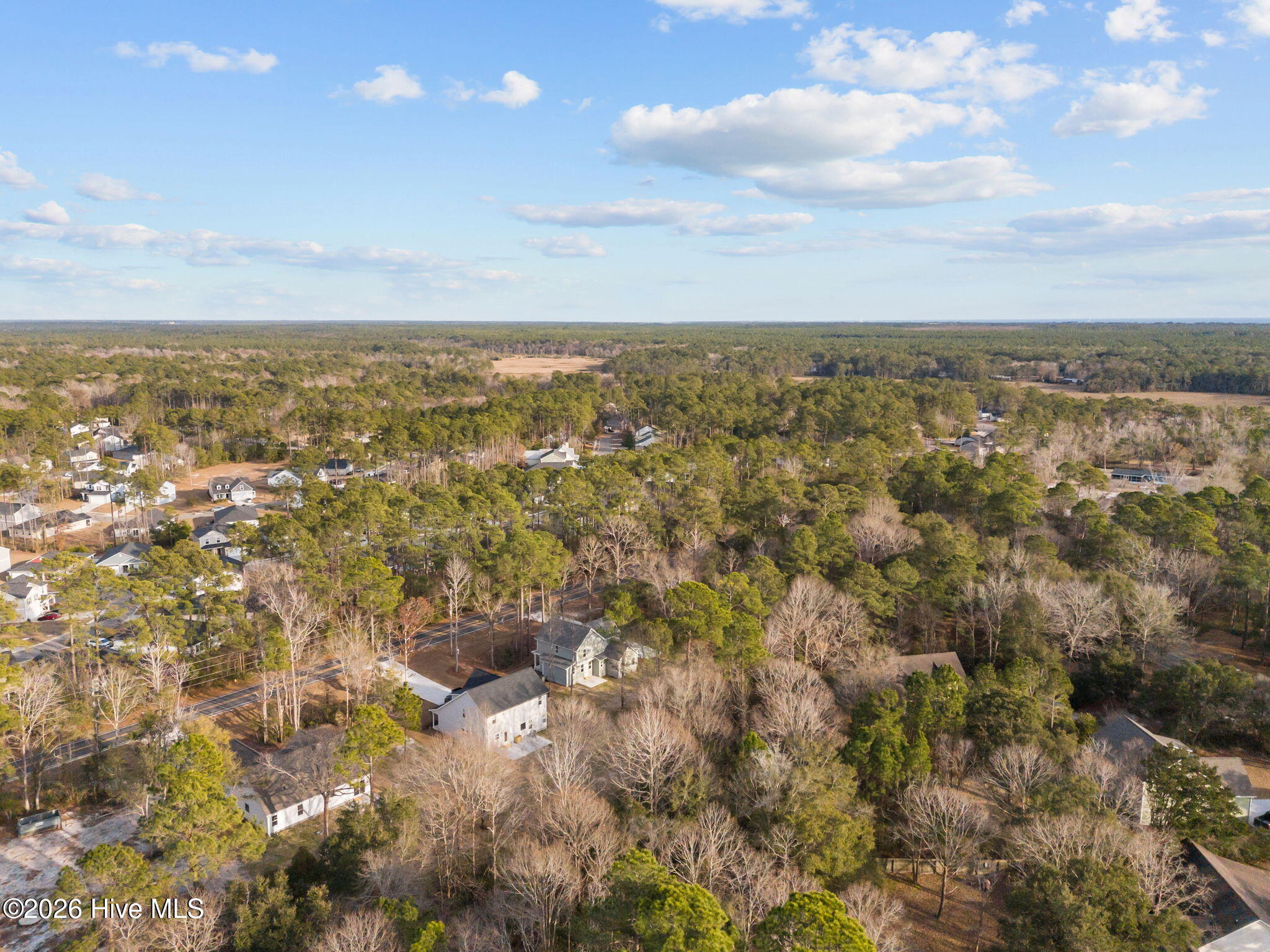 100528605 | Photo 50