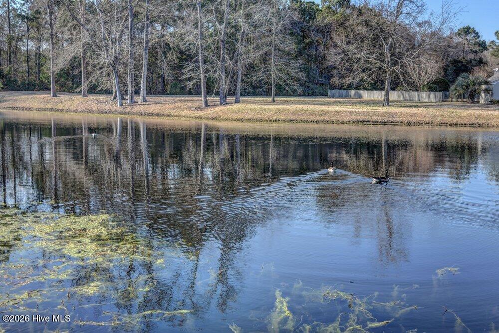 100555857 | Photo 54