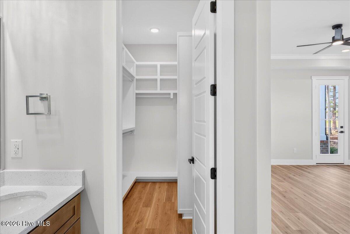 100551105 | Photo 22