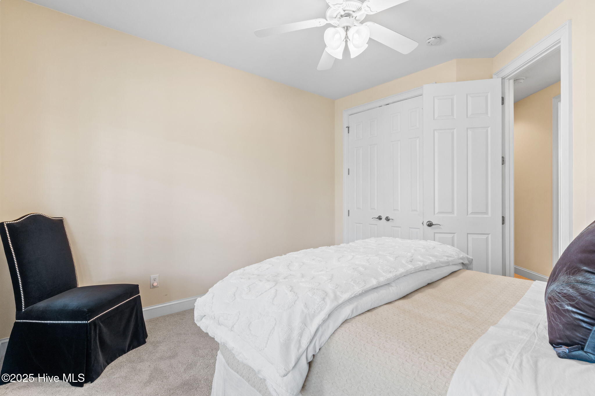 100518405 | Photo 48