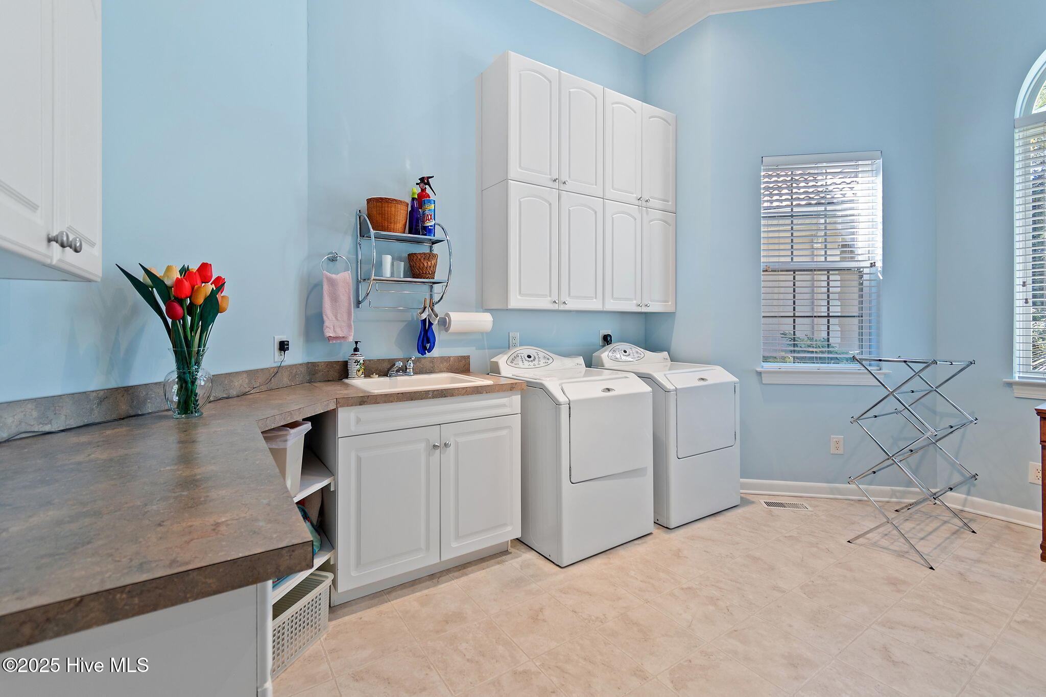 100498413 | Photo 35