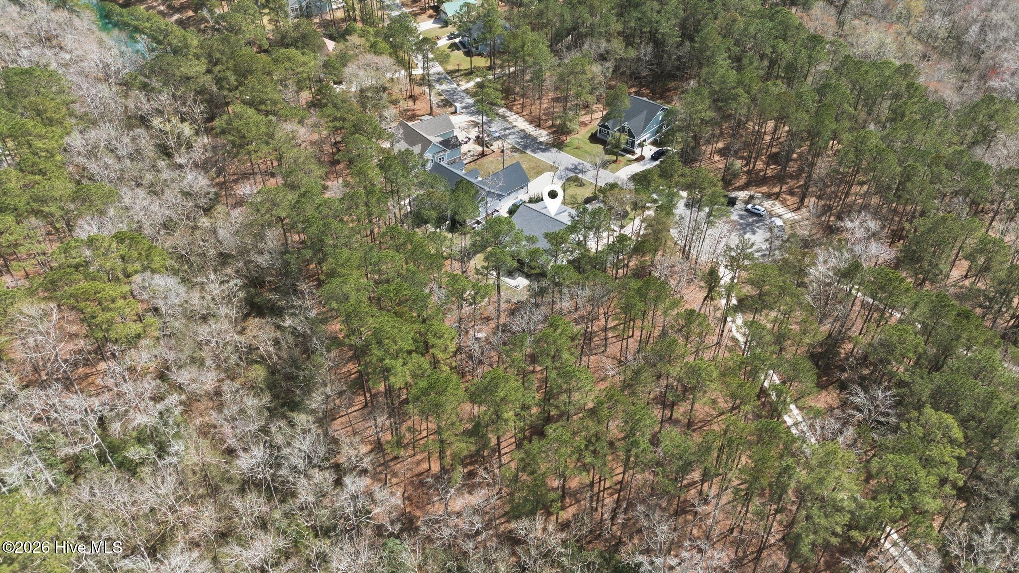 100560702 | Photo 77