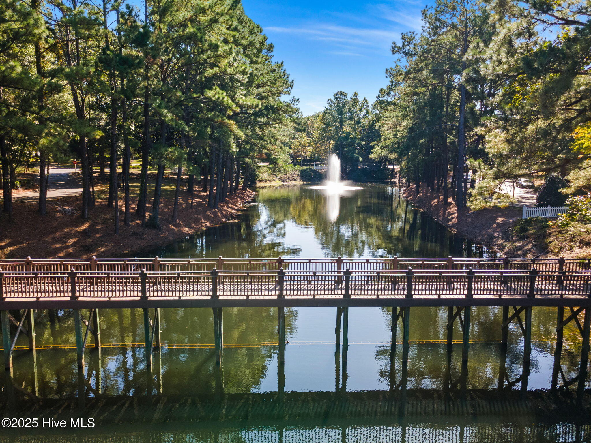 100529099 | Photo 45