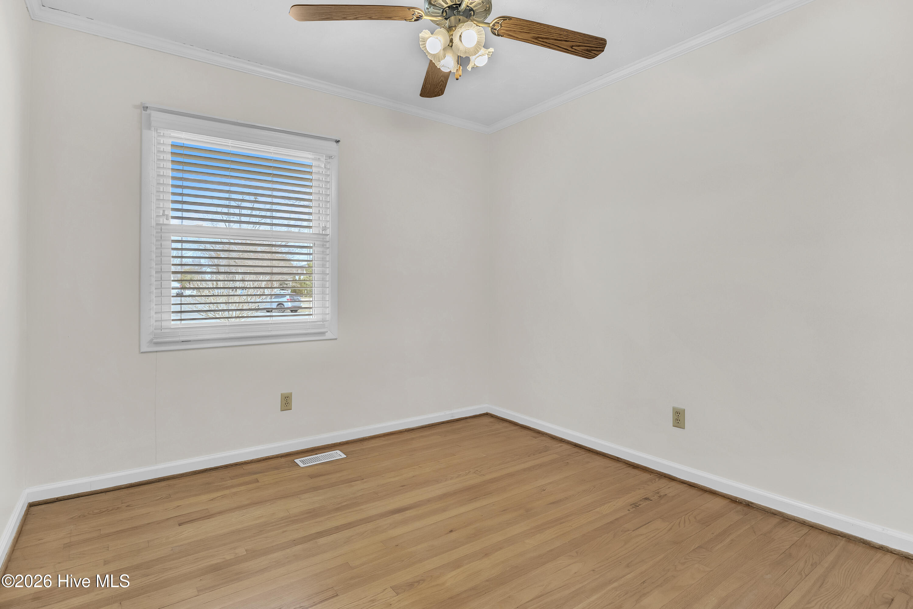 100555841 | Photo 26