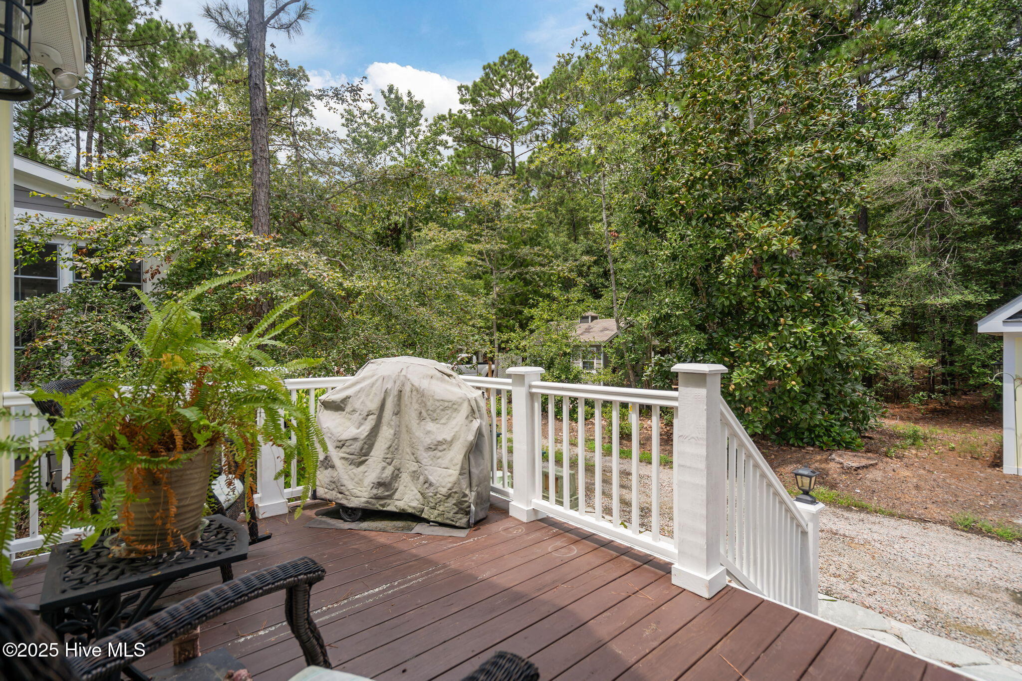 100524220 | Photo 55