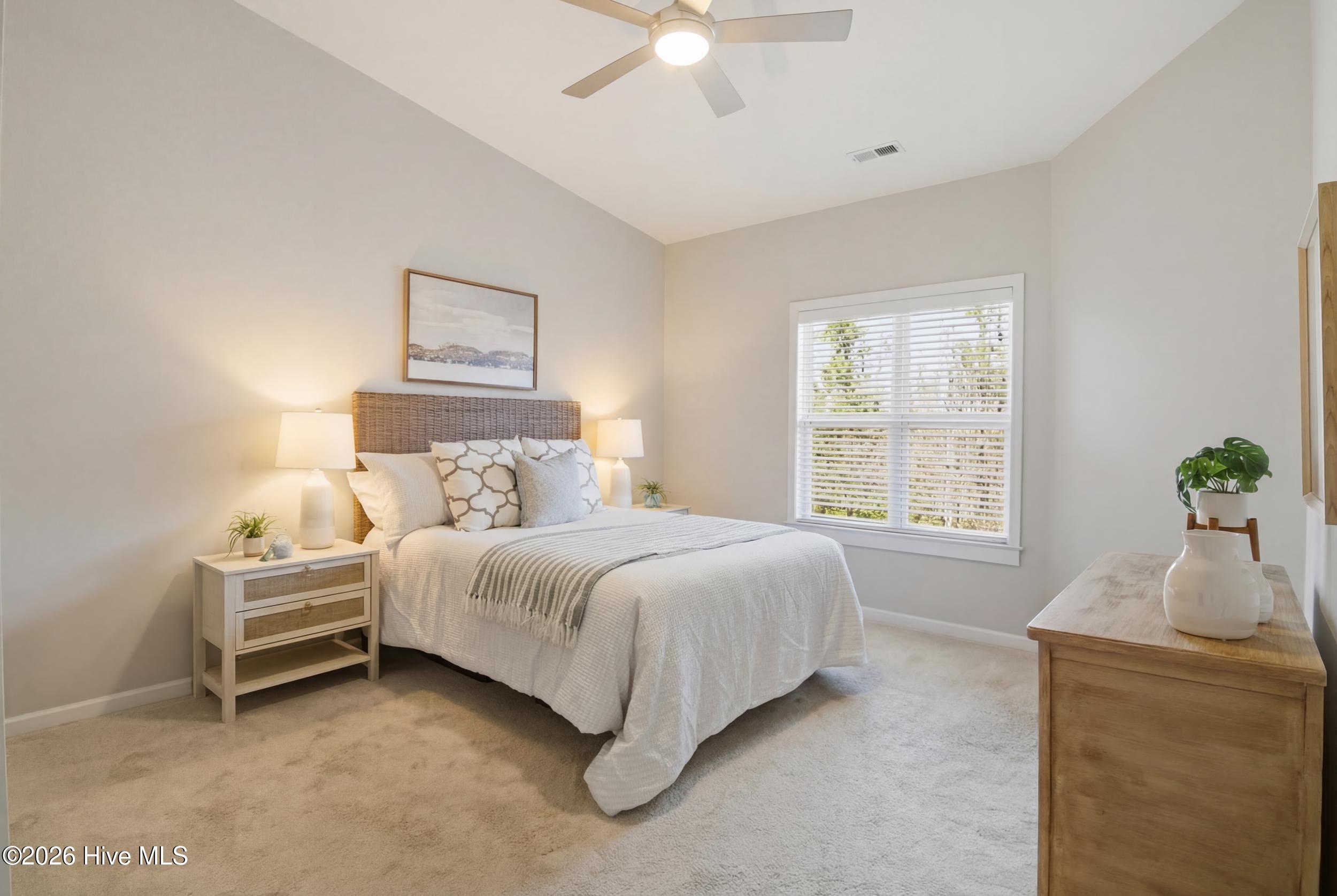 100552739 | Photo 15