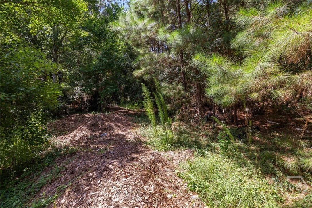 13th image of 202 Nease Rd, Guyton, GA 31312 | MLS# SA360995