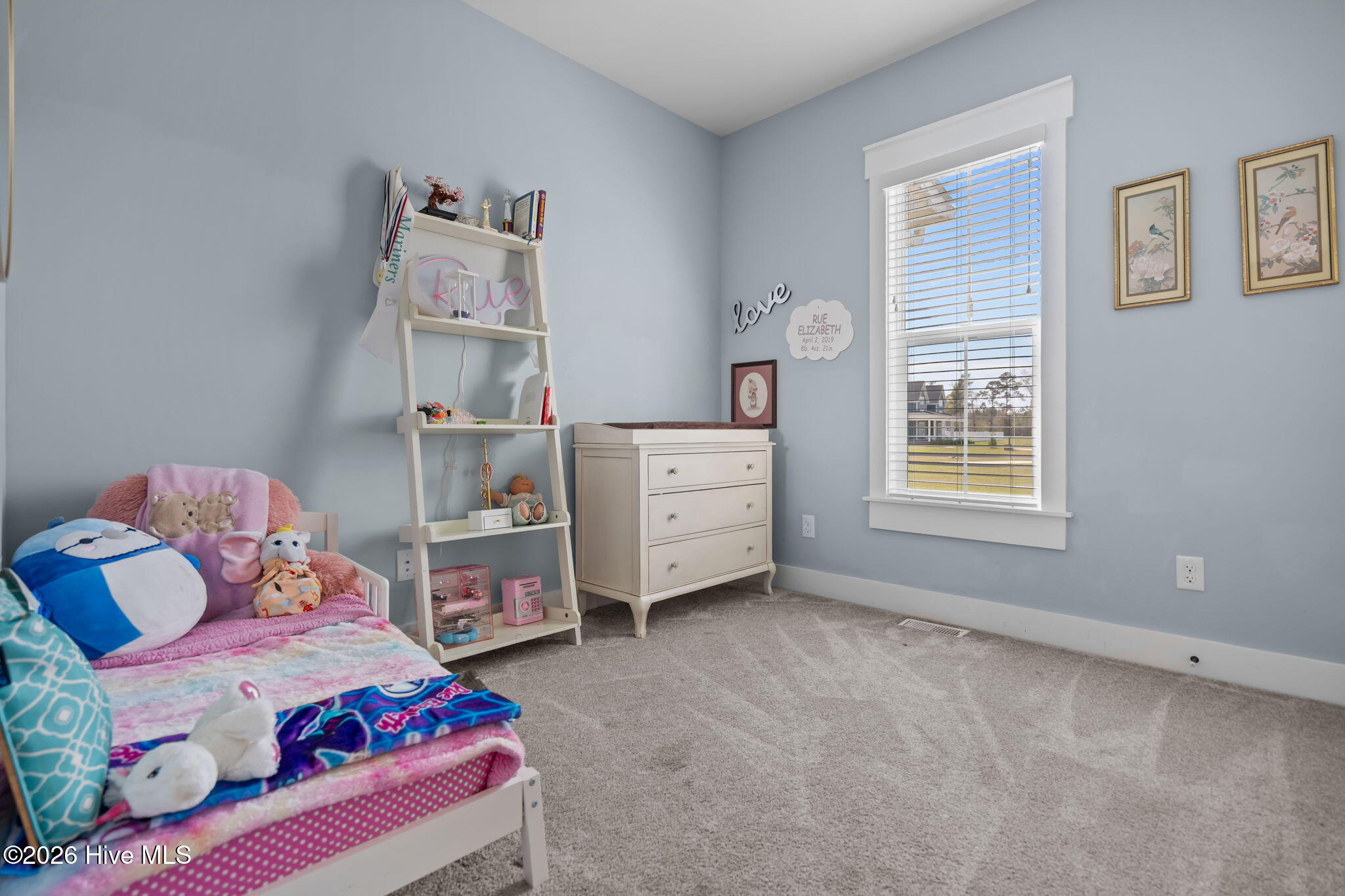 100563591 | Photo 18