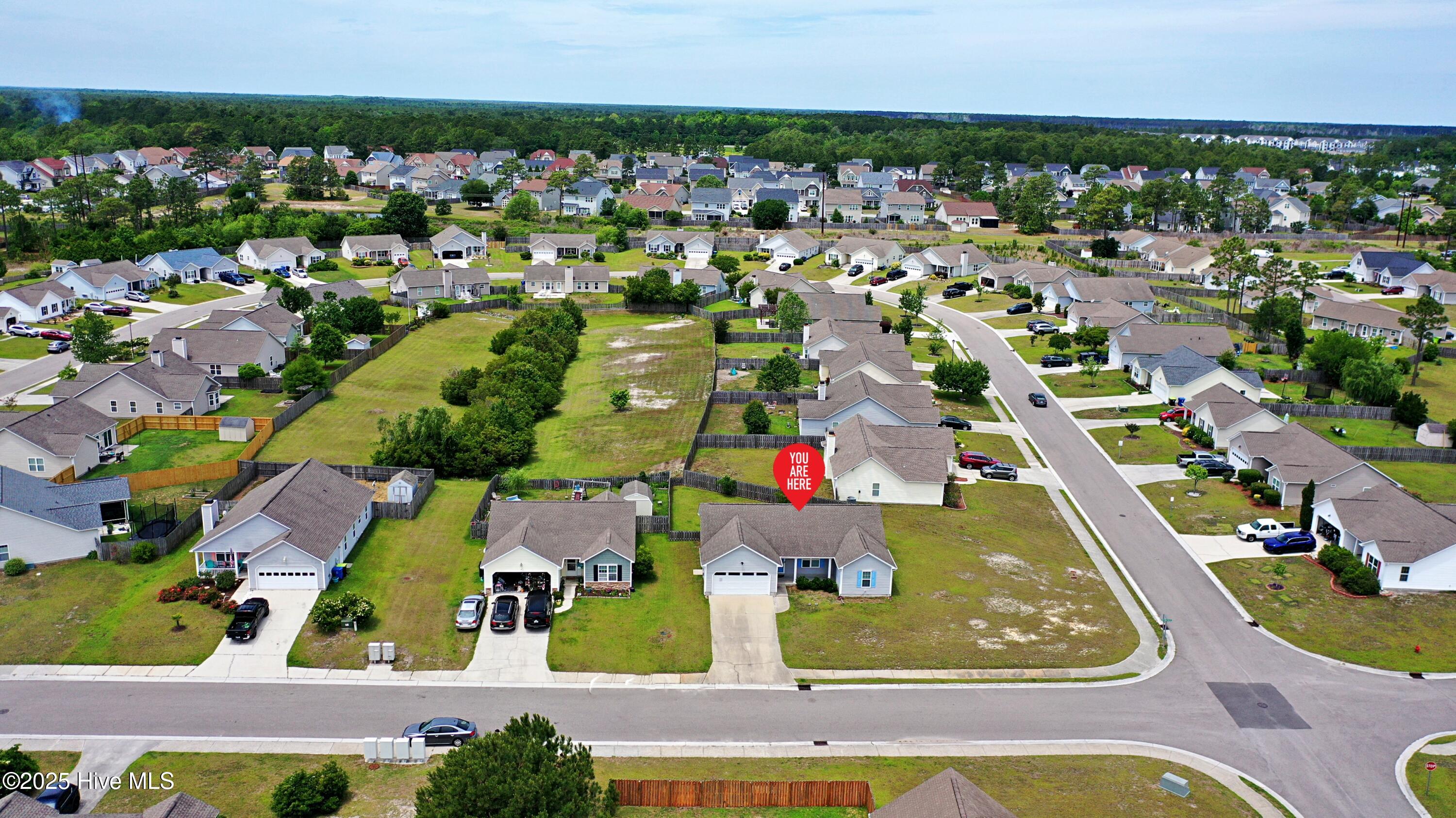 100506631 | Photo 31