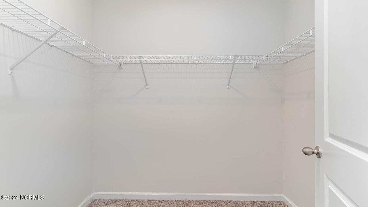 100504876 | Photo 15