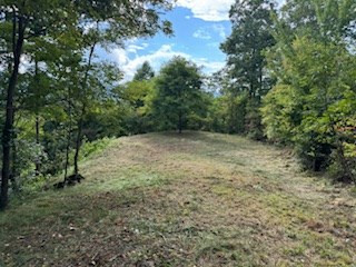 Exterior photo of Lot 30 Hickory Cove Road, Bryson City, NC 28713. MLS: 98524740