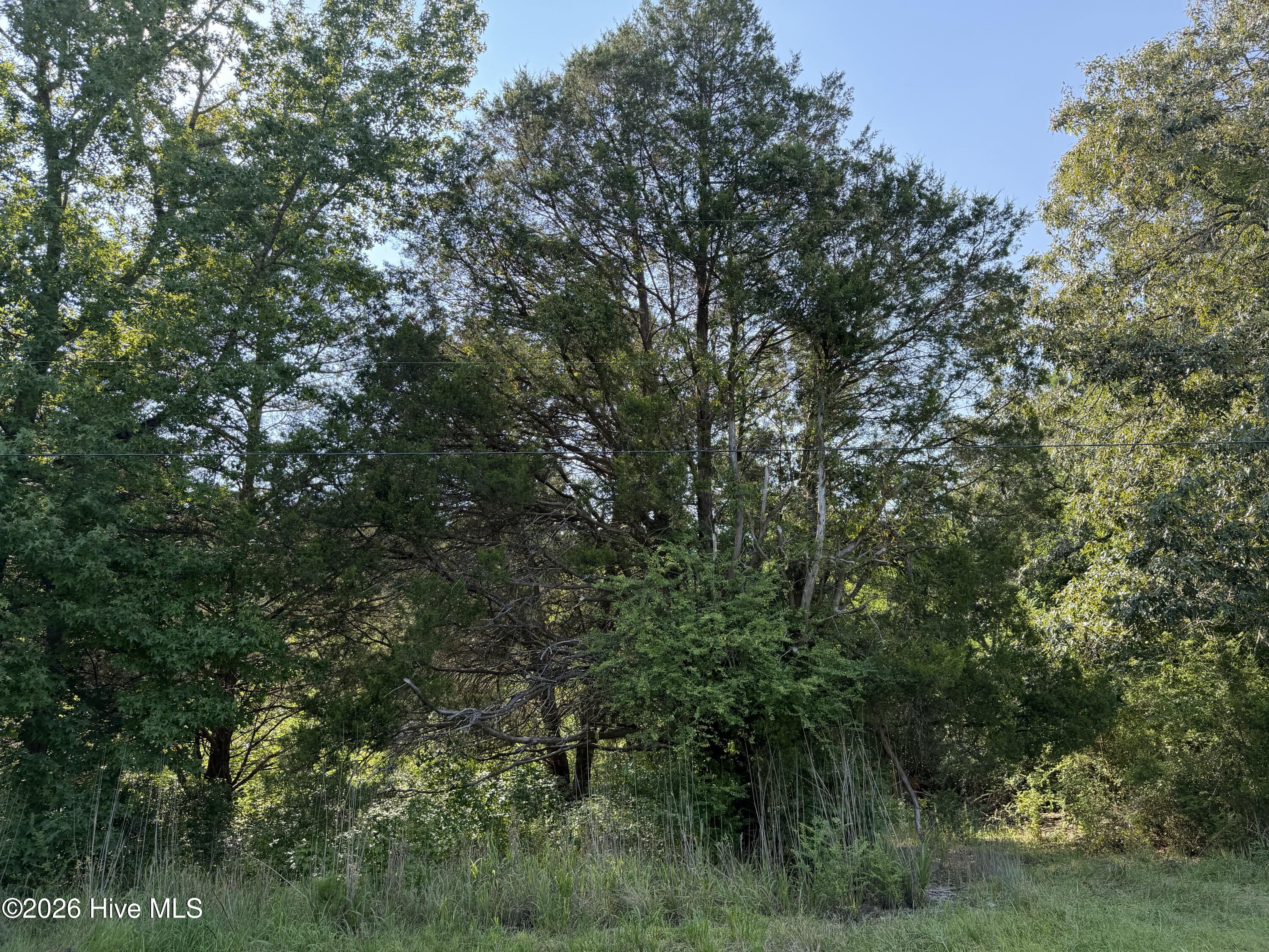 9th image of 809 Dry Monia Rd, New Bern, NC 28562 | MLS# 100596054