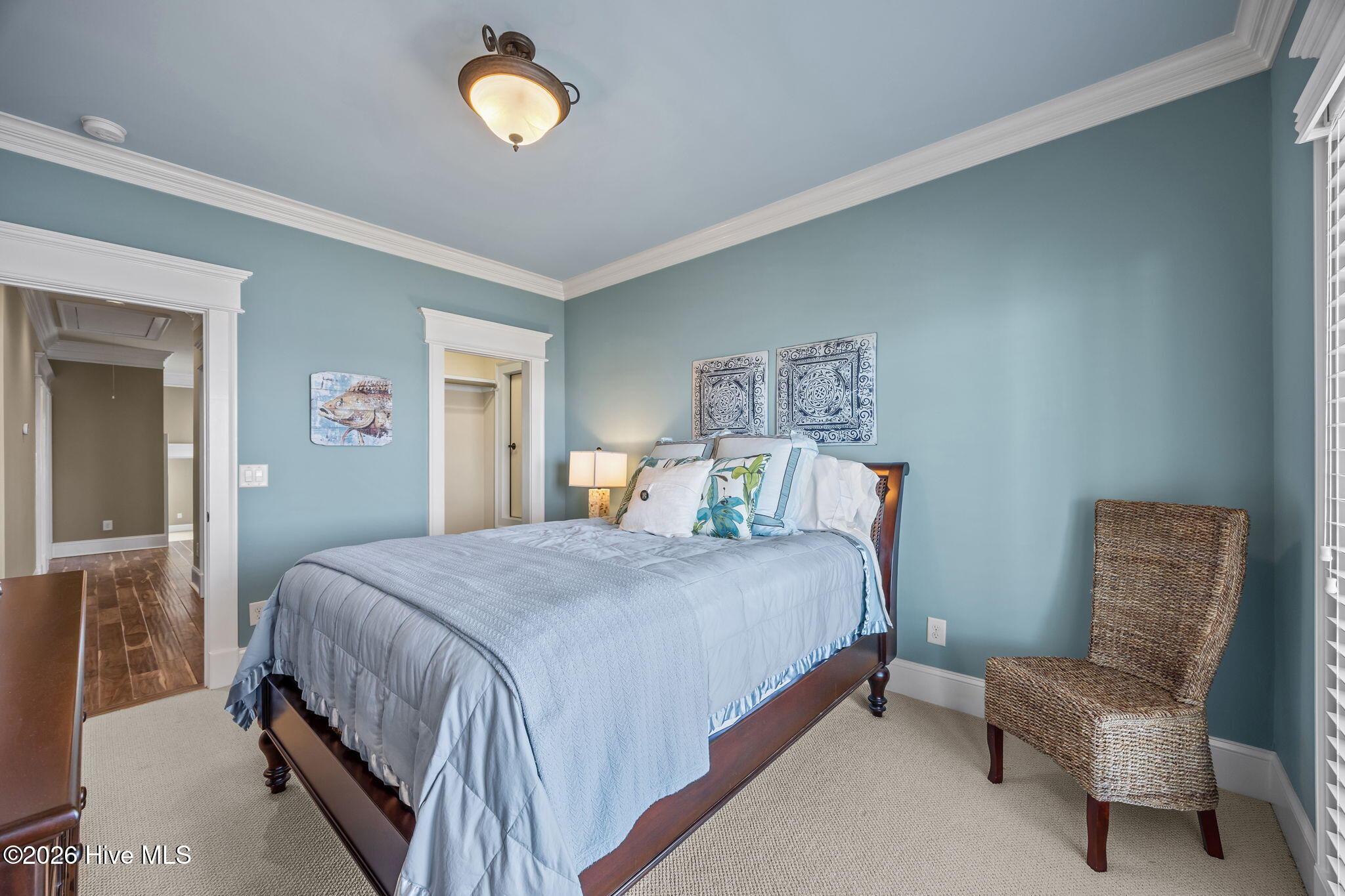 100564617 | Photo 50