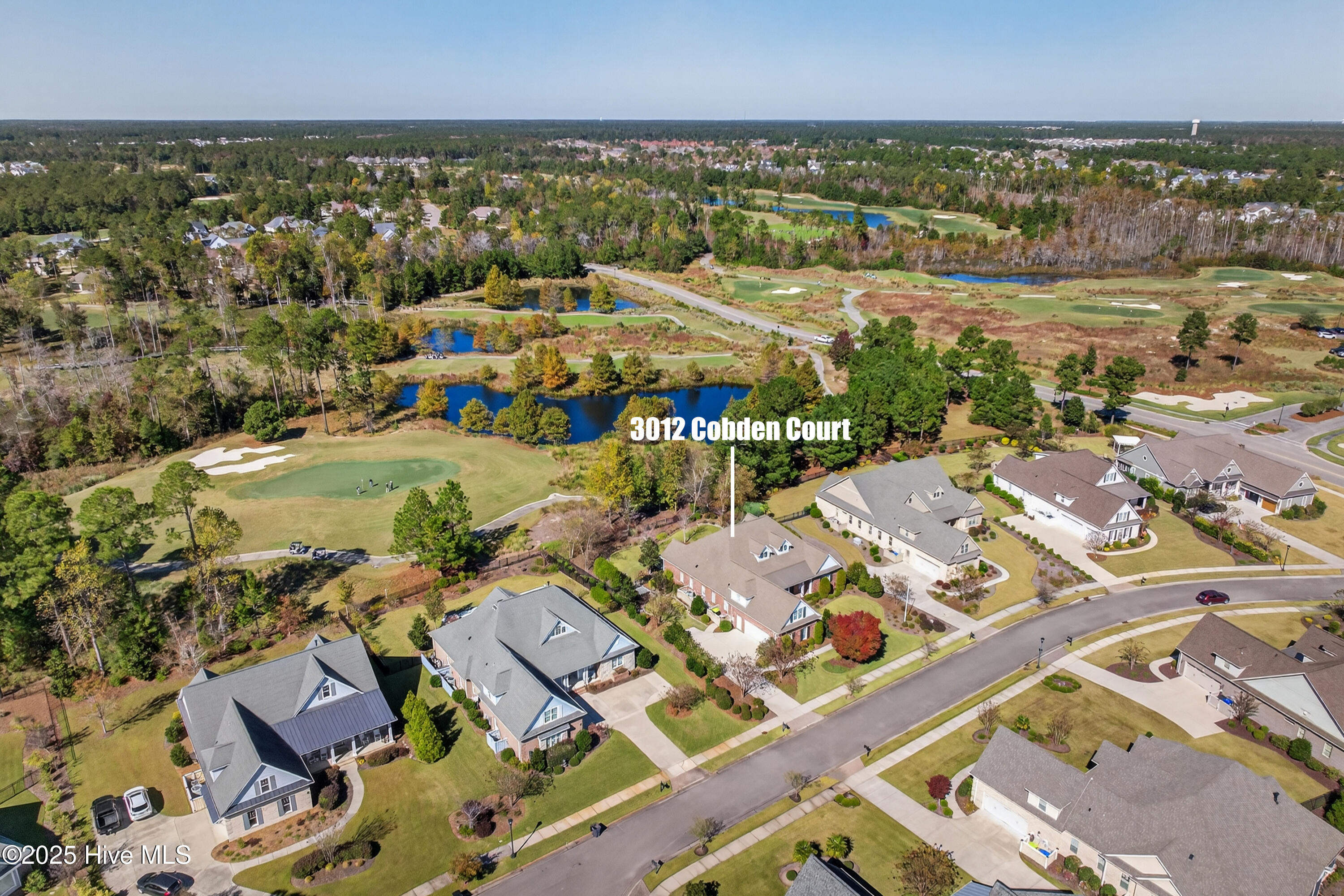 100527898 | Photo 65