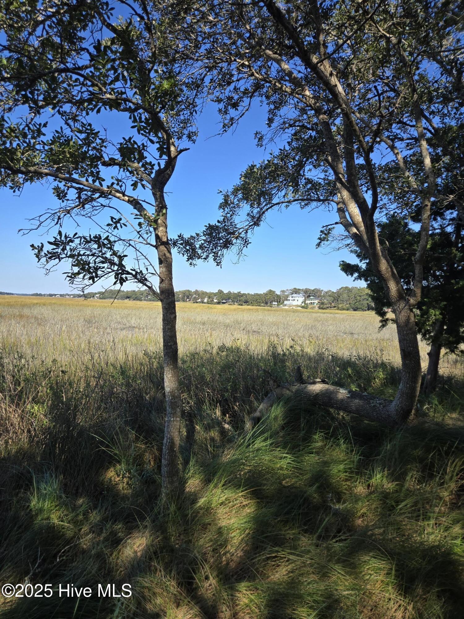 100536937 | Photo 11