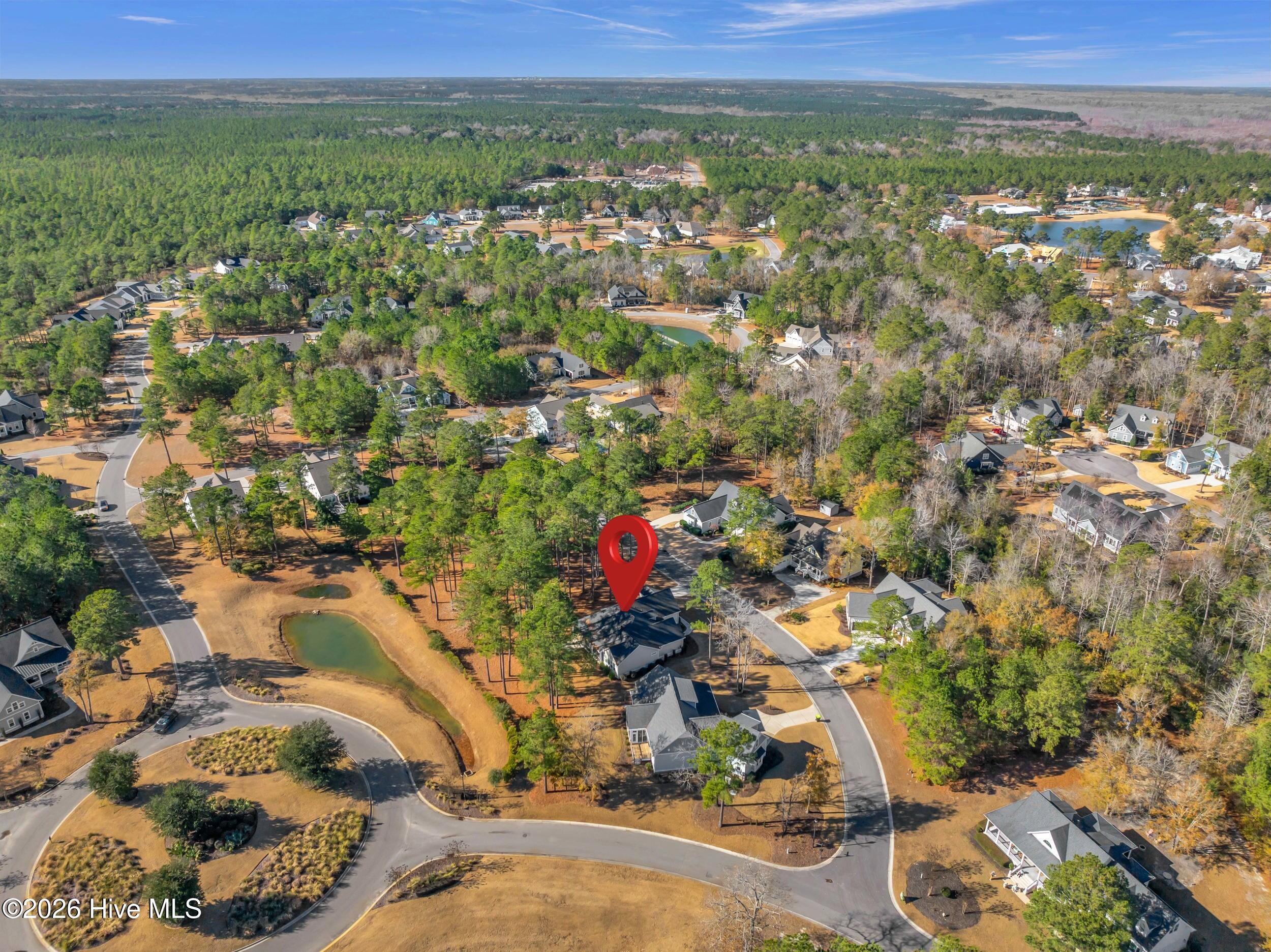 100545849 | Photo 40