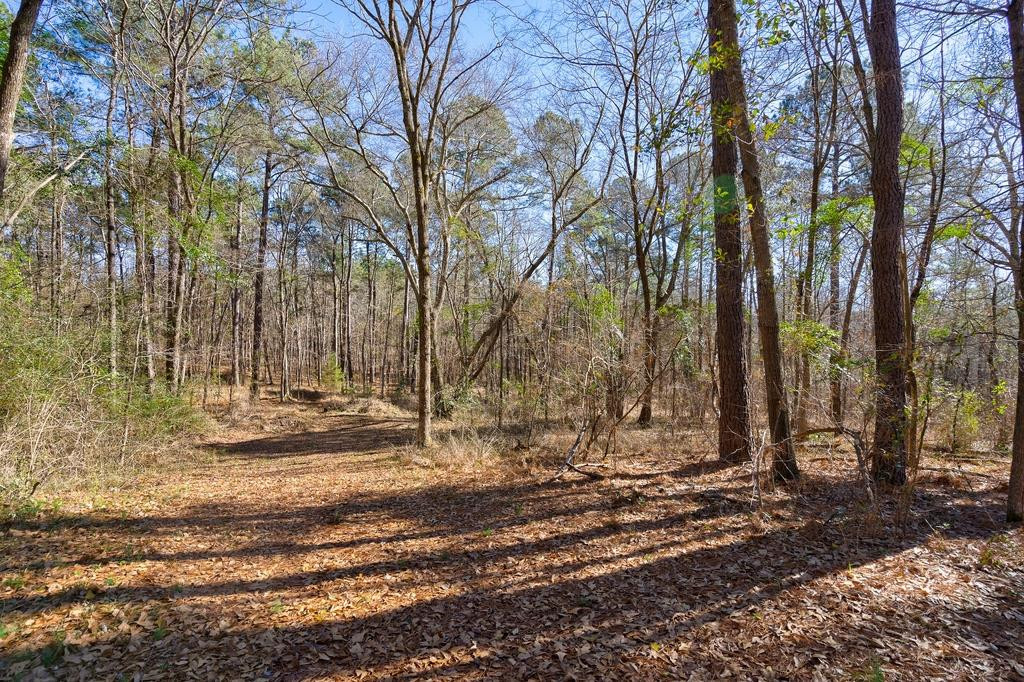 623 Blanchard Road, Evans, GA 30809 Listing Photo  70