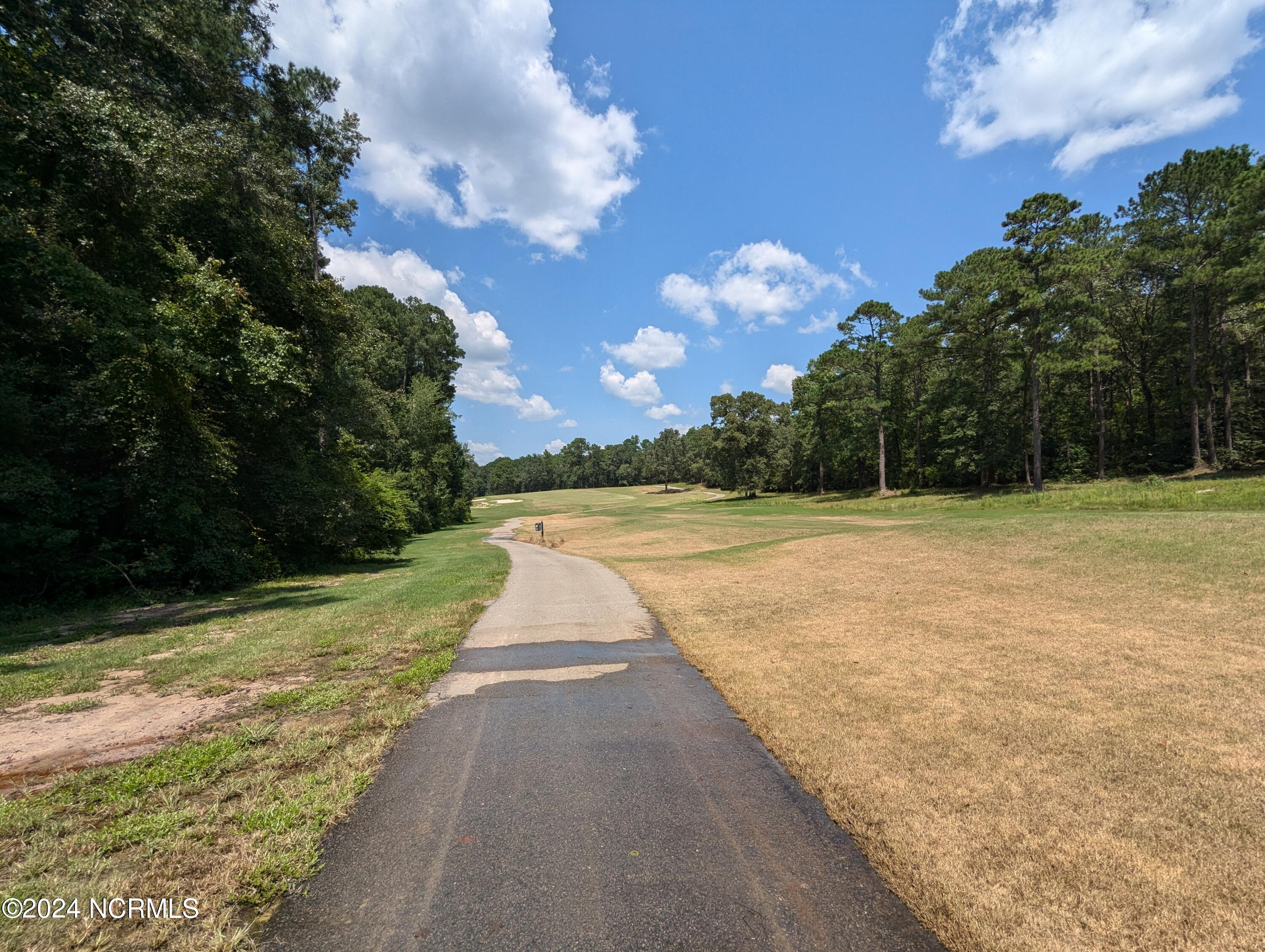 445 Thimbleberry Drive, Vass, NC, 28394