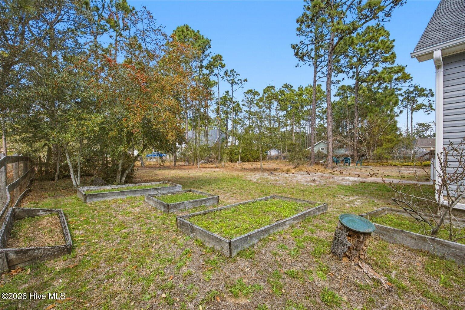 100558817 | Photo 42