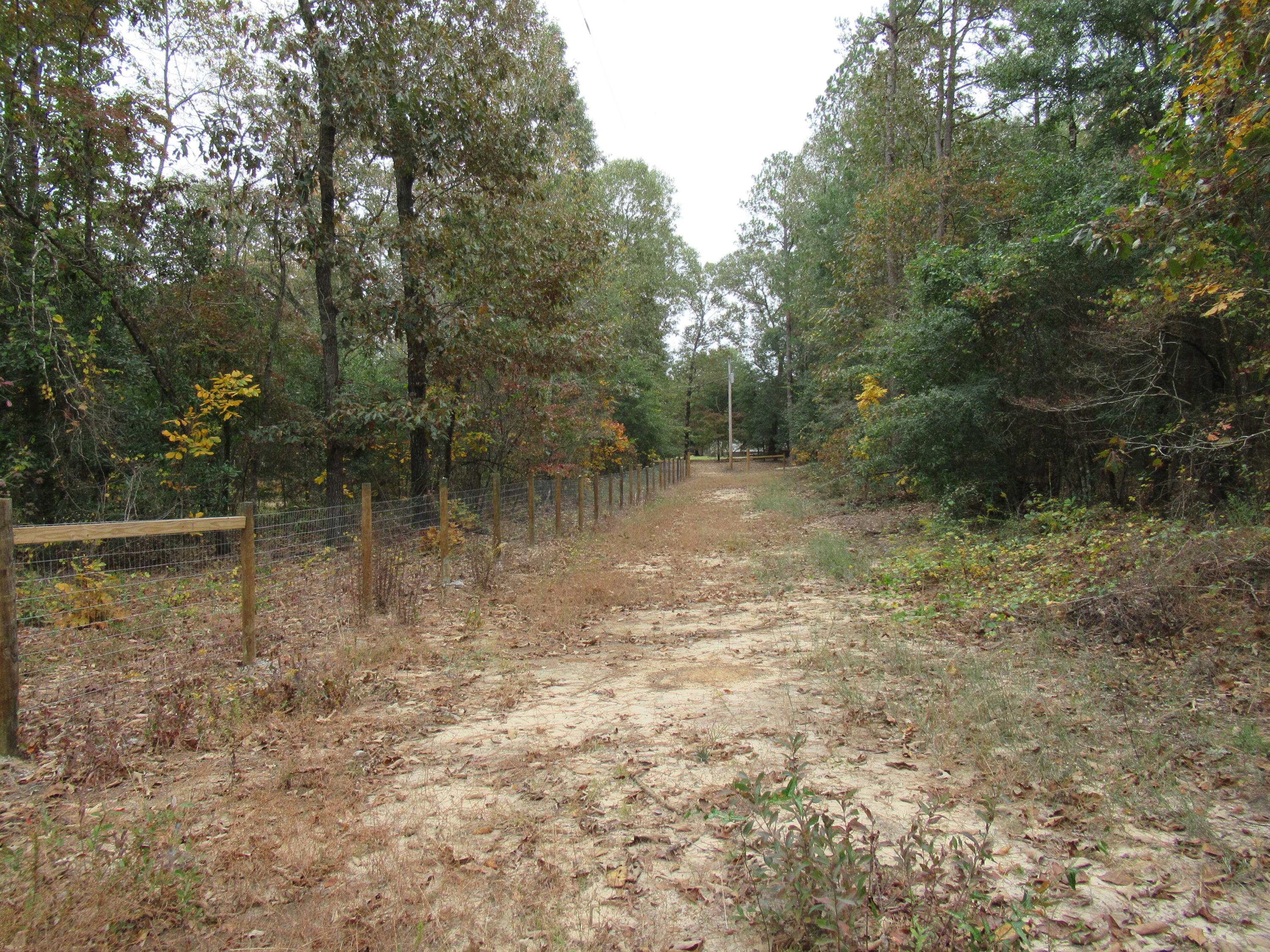 0 TWIN PINES RD., Keysville, GA, 30816