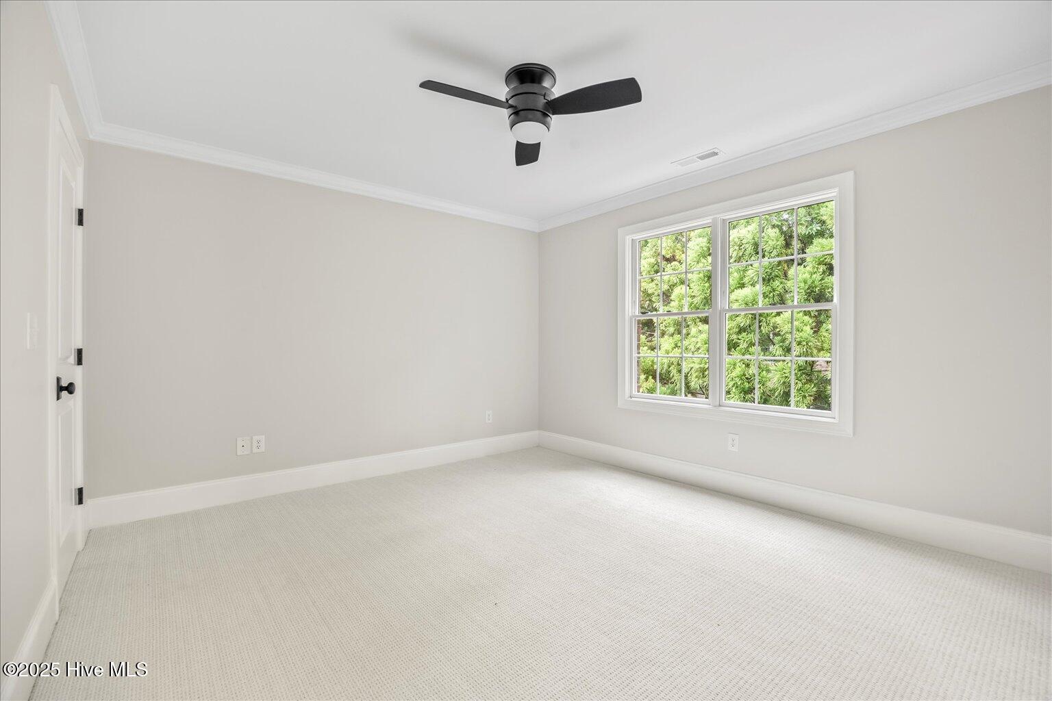 100536137 | Photo 33