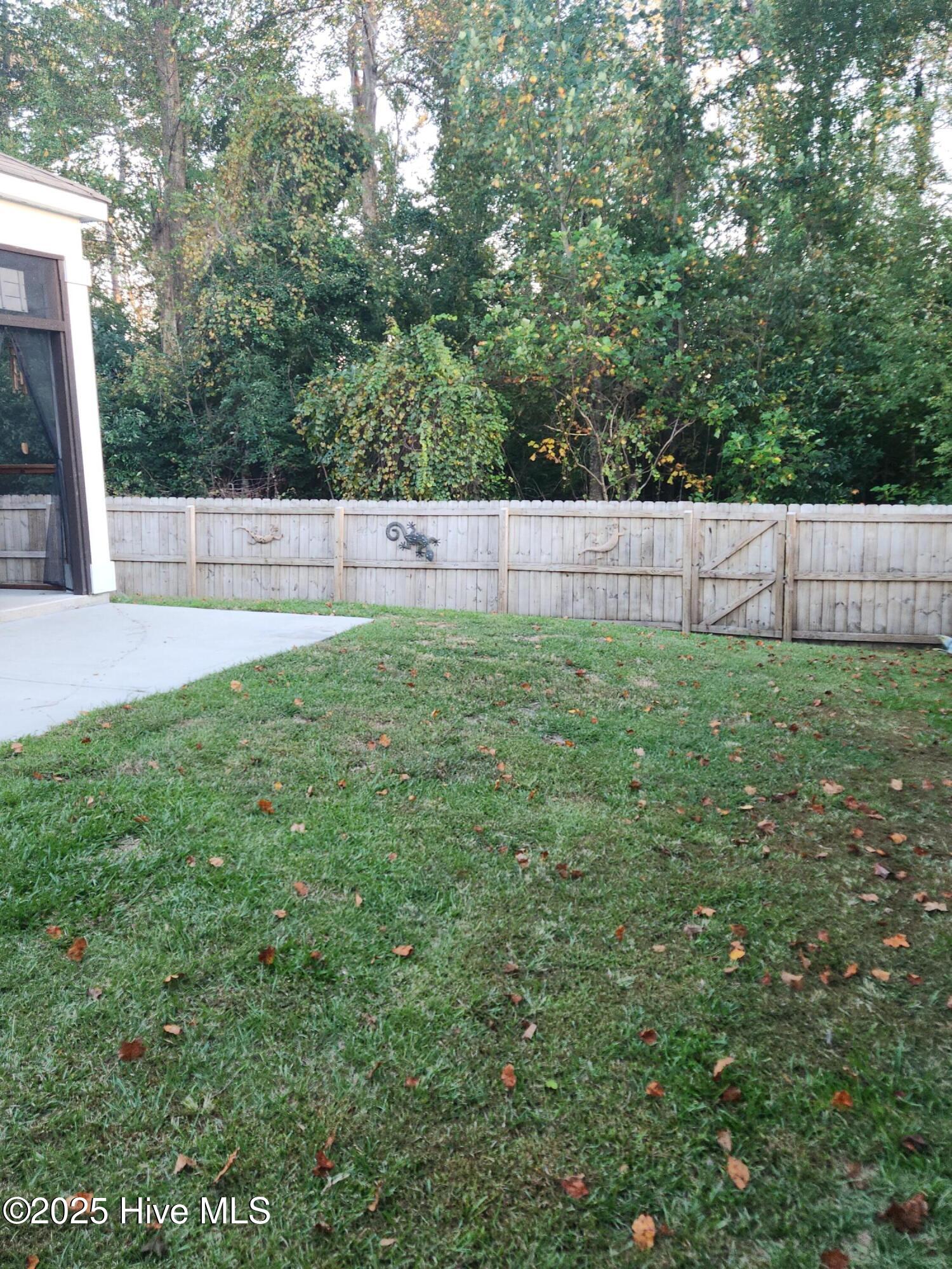 100539235 | Photo 37