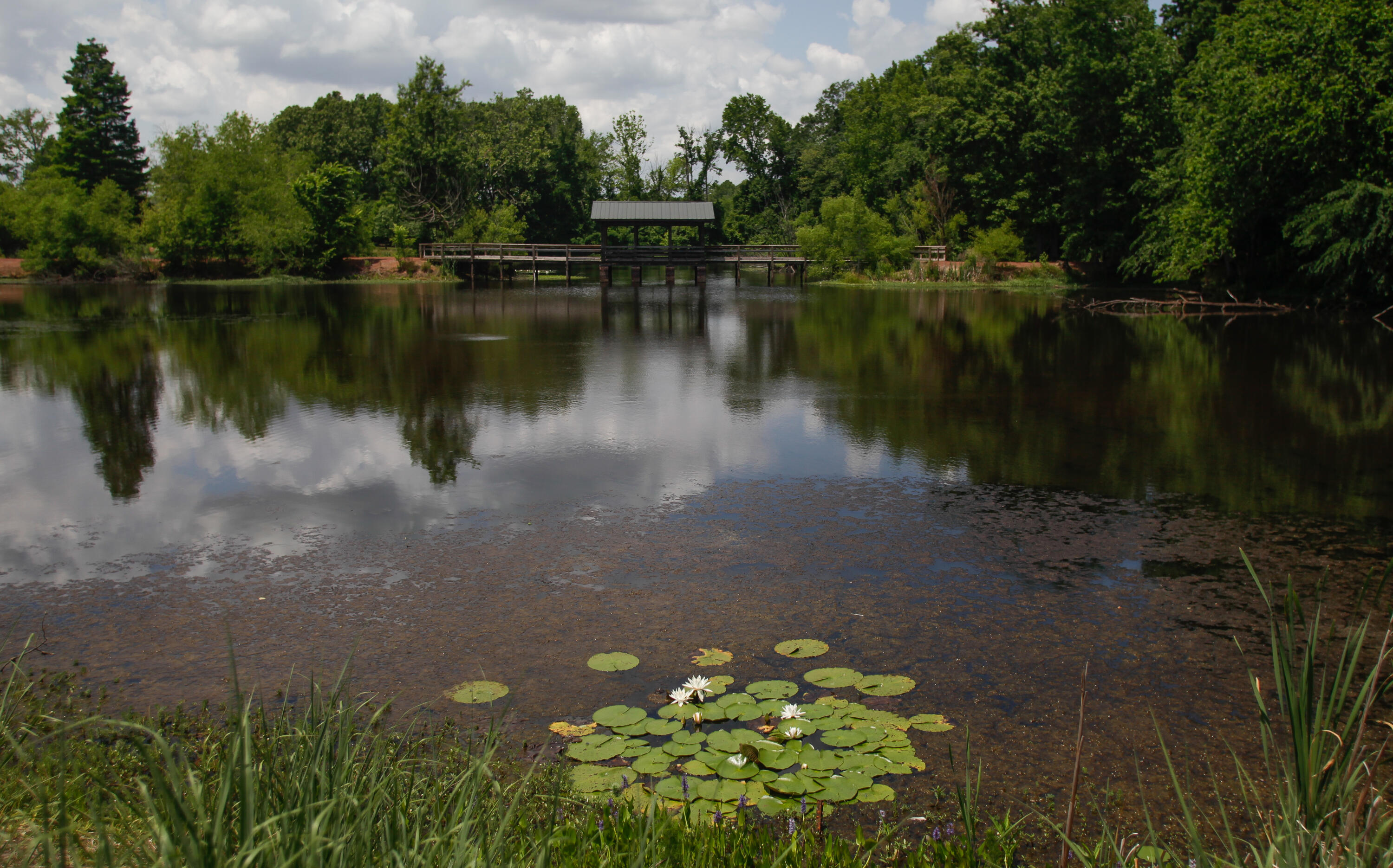 61 Crystal Lake Drive, North Augusta, SC, 29841