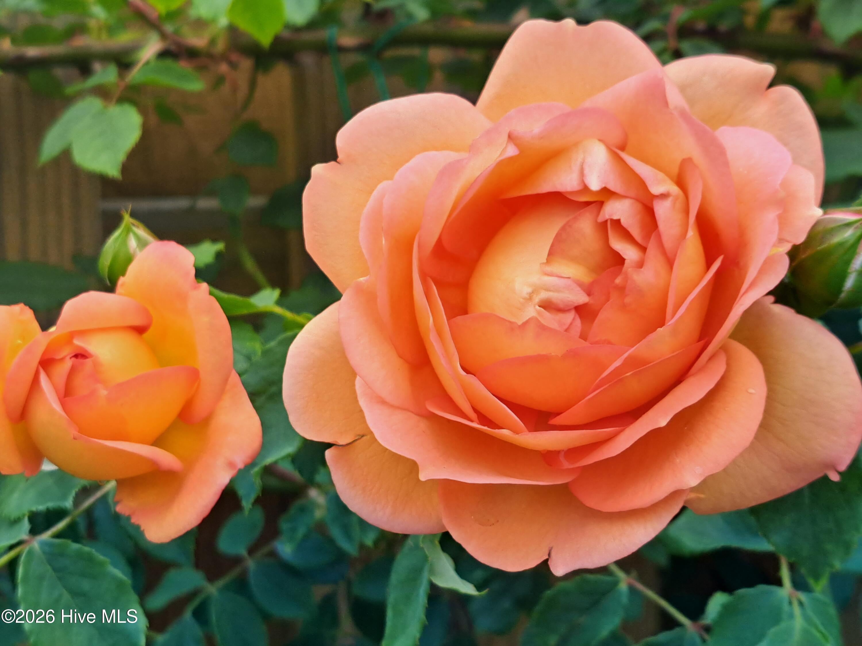 100551829 | Photo 57