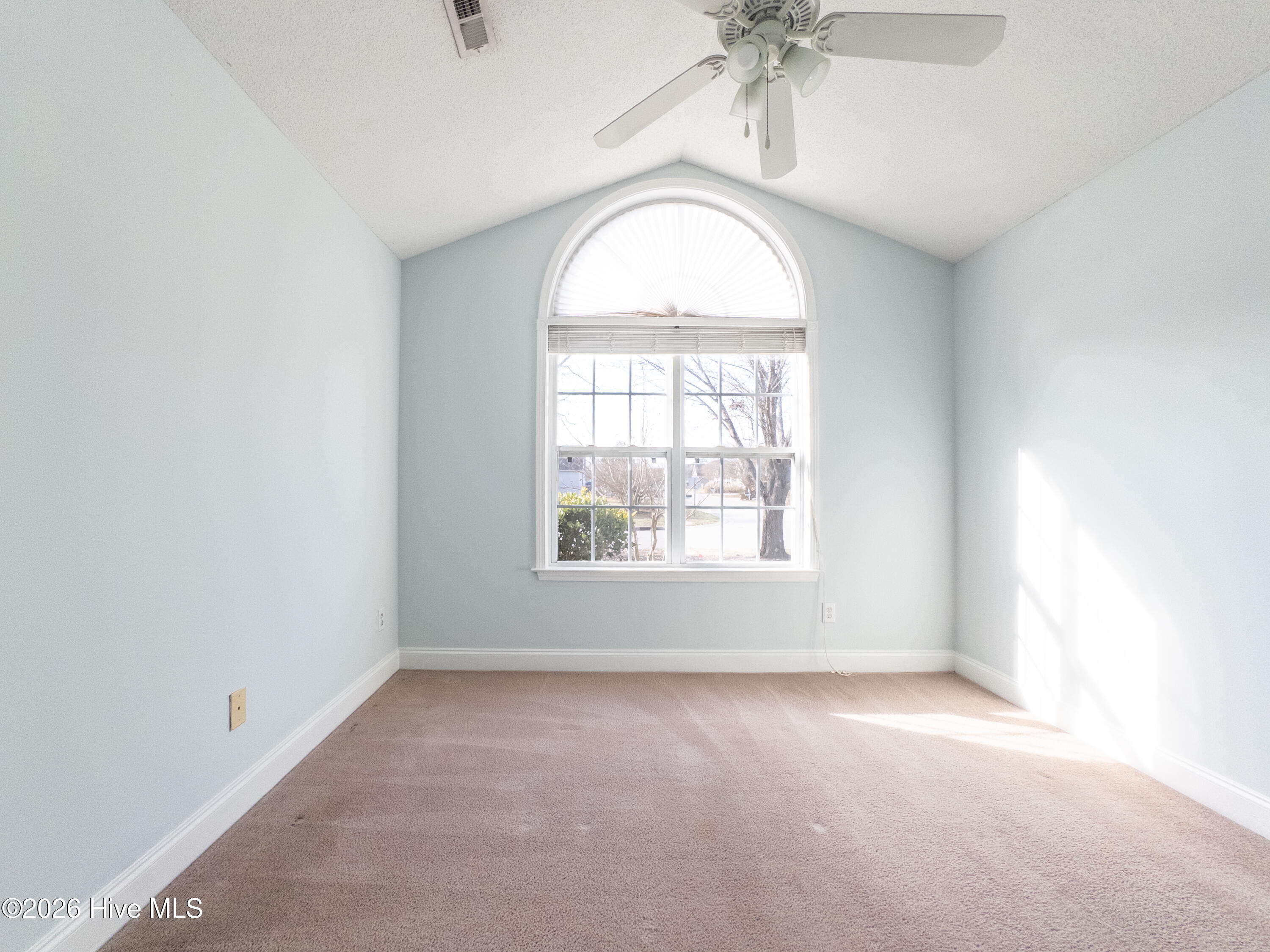 100558413 | Photo 30