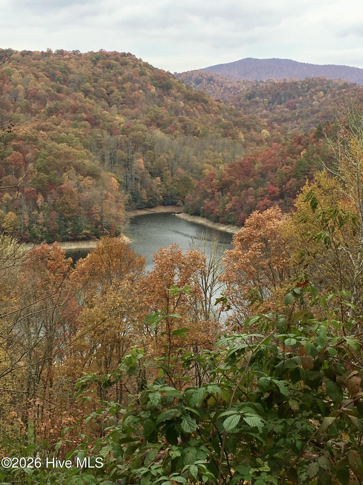 This photo was taken before view grew back in