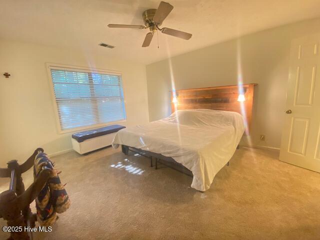 100537292 | Photo 29