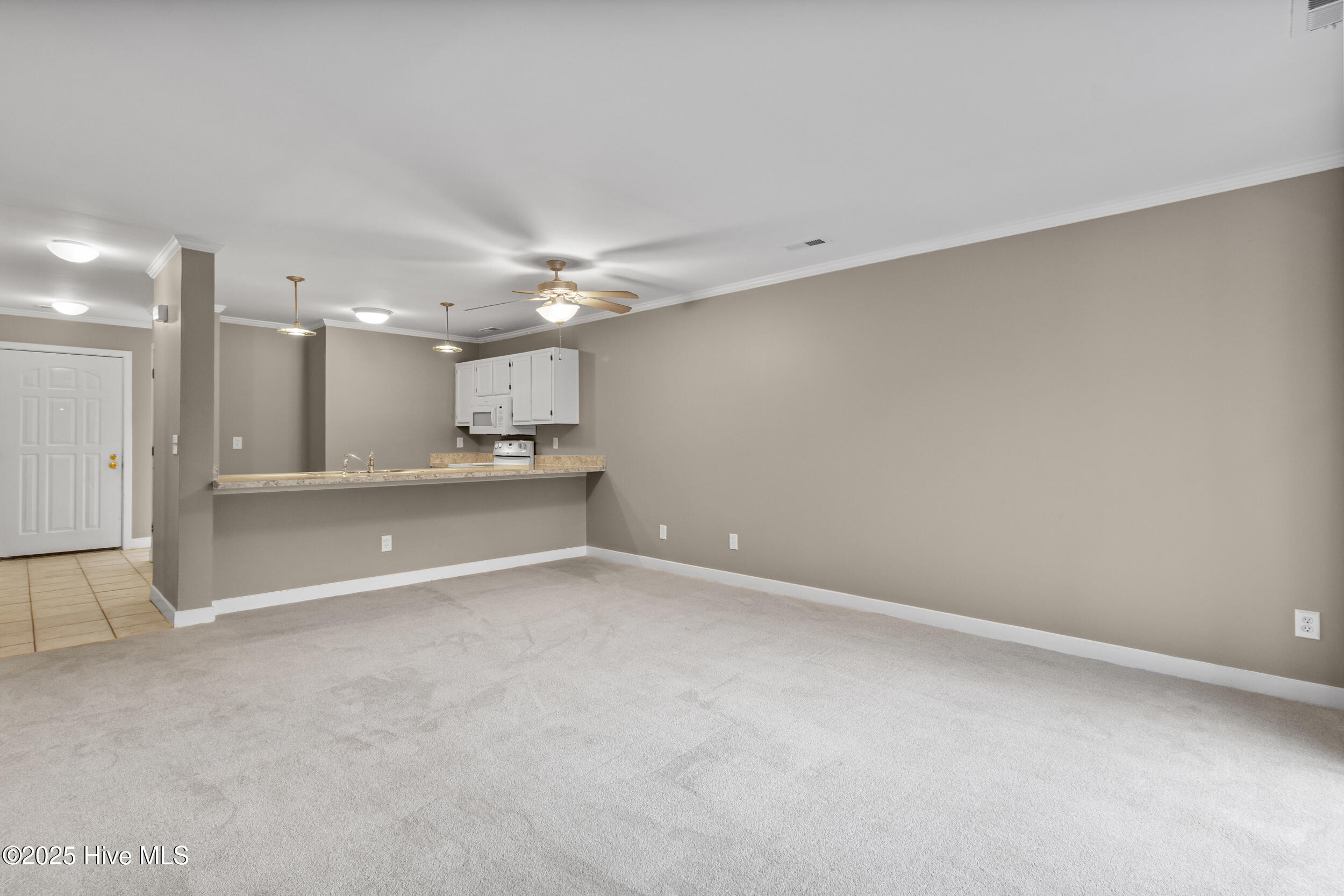 100540699 | Photo 22