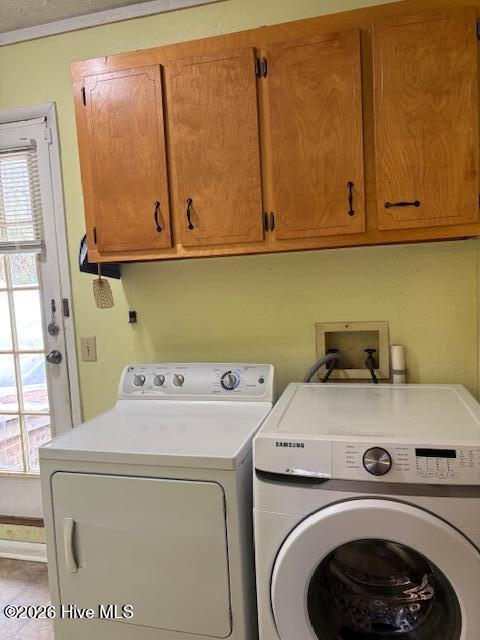 100553362 | Photo 16