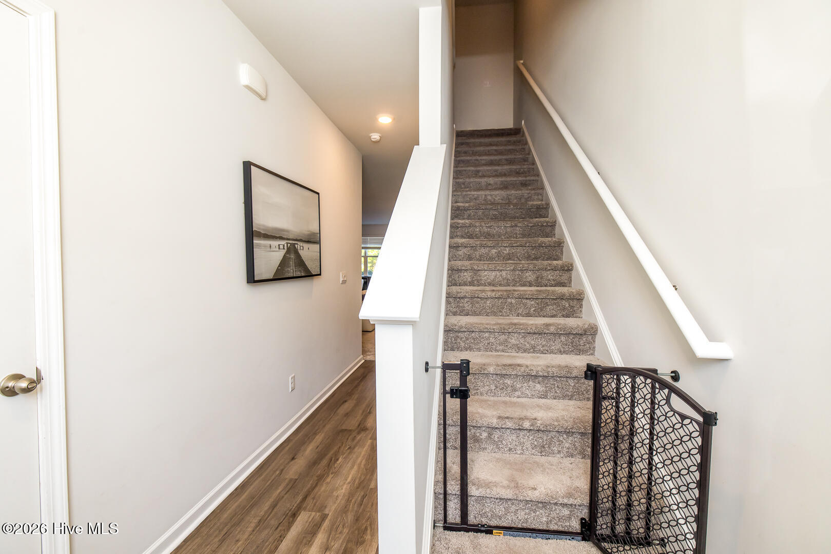 100570599 | Photo 19