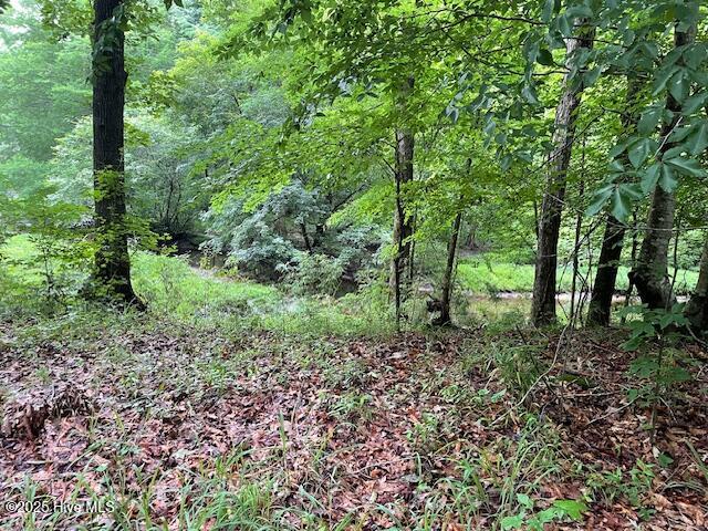 CREEK FEEDING HAMMOND CREEK