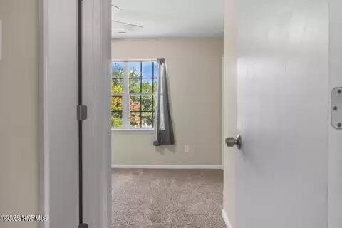 100546536 | Photo 17