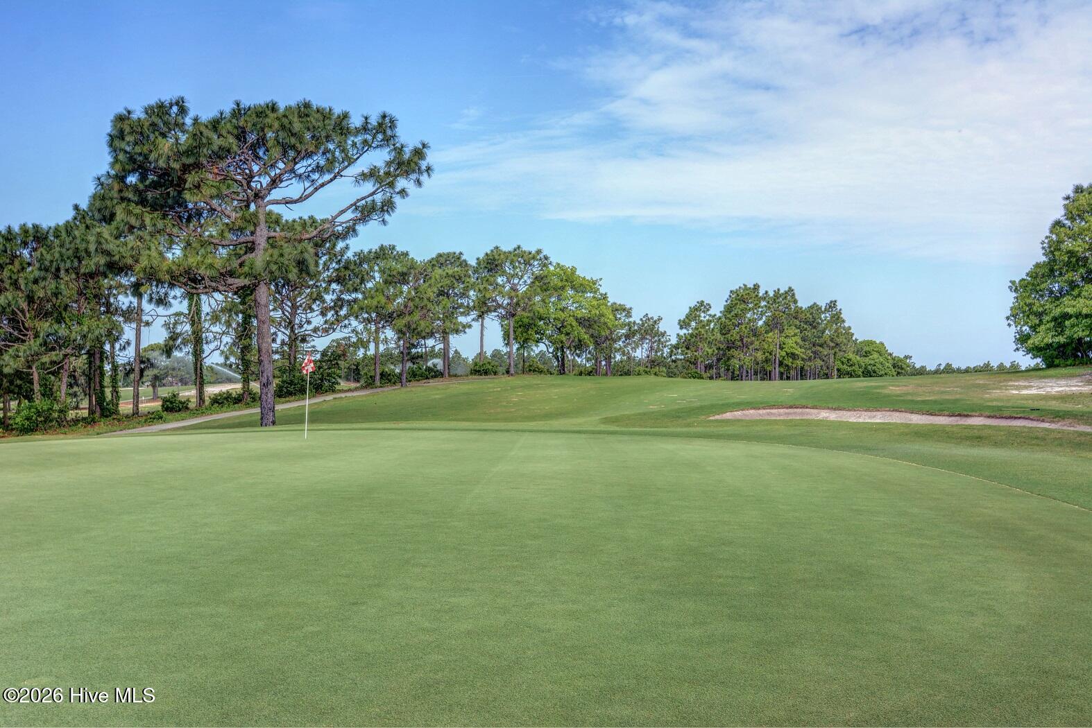 100565021 | Photo 38