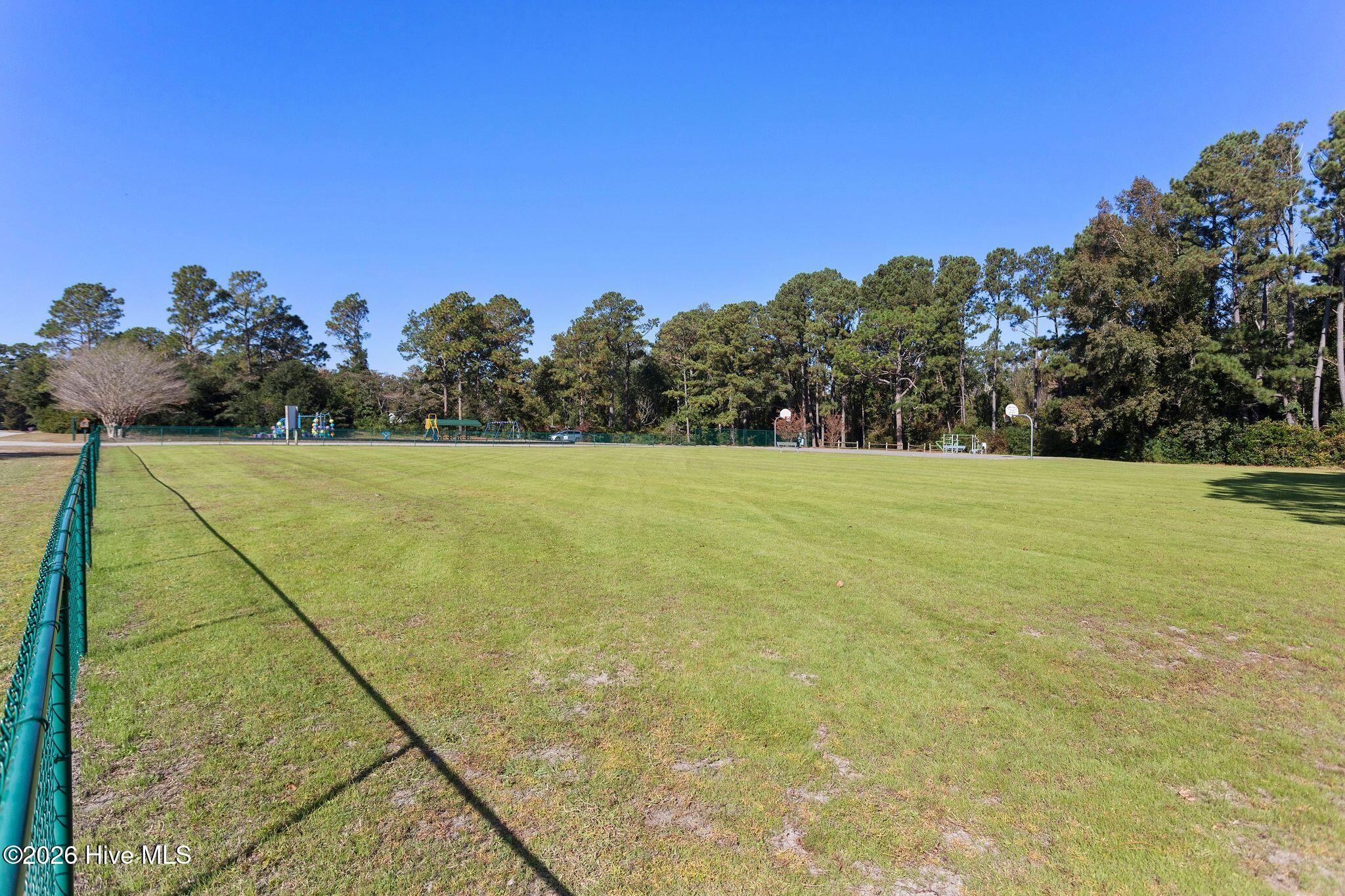 100564209 | Photo 39