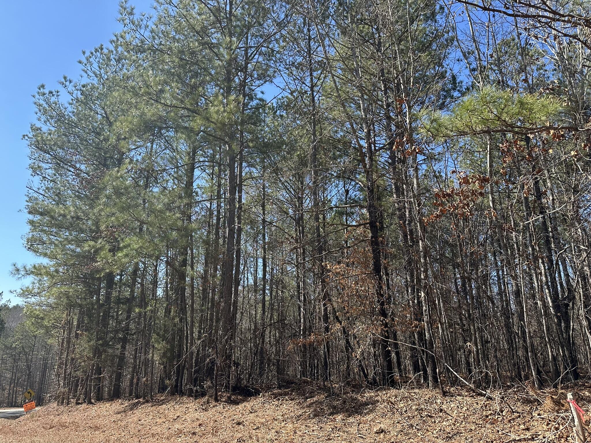 Homes for sale in Lincolnton, GA | Lot 31 Willow Wy, Lincolnton, GA 30817 | MLS# 551924