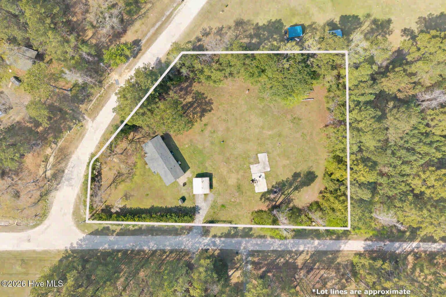 100562957 | Photo 12