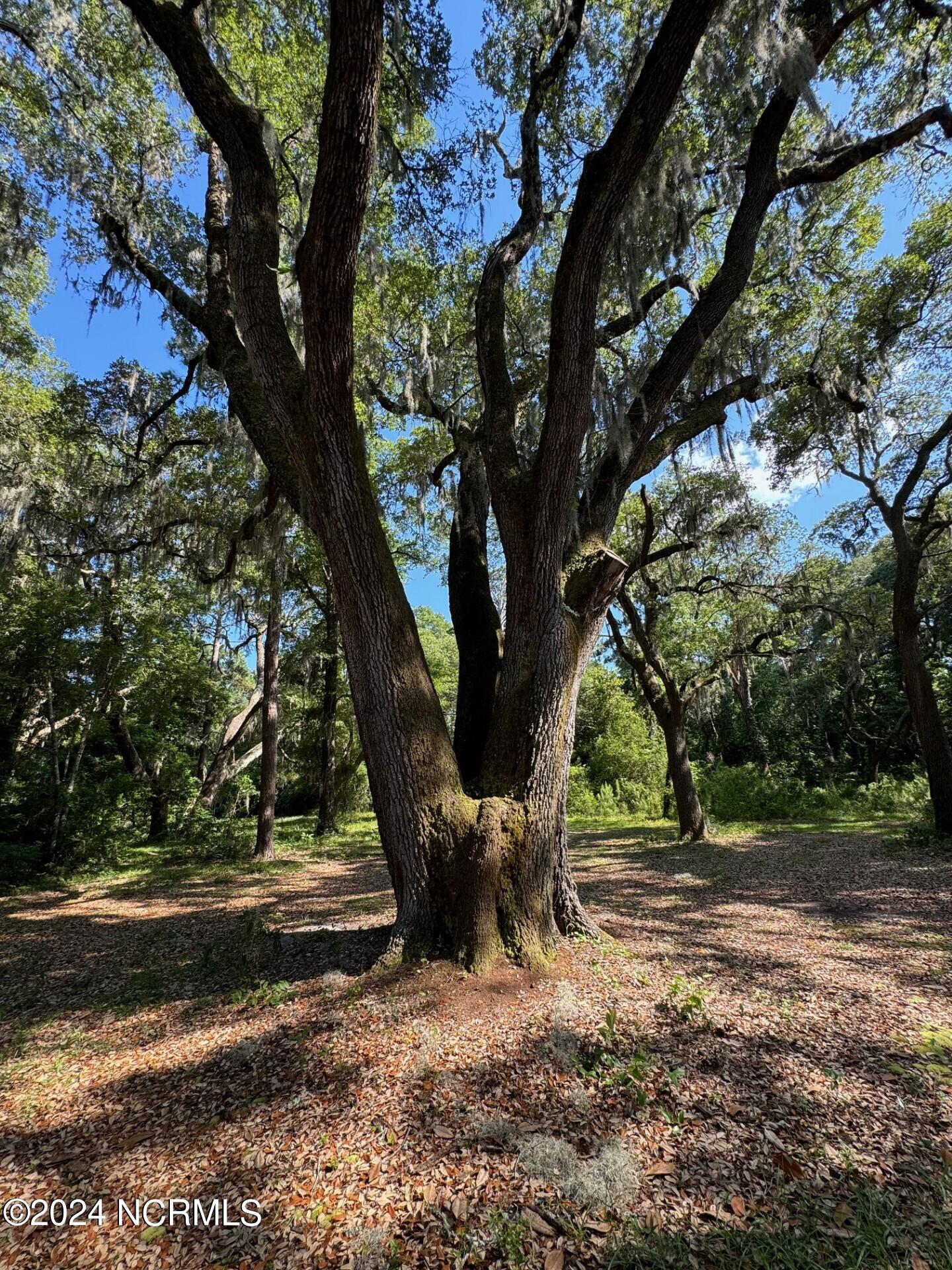 7701 Myrtle Grove Road, Wilmington, NC, 28409